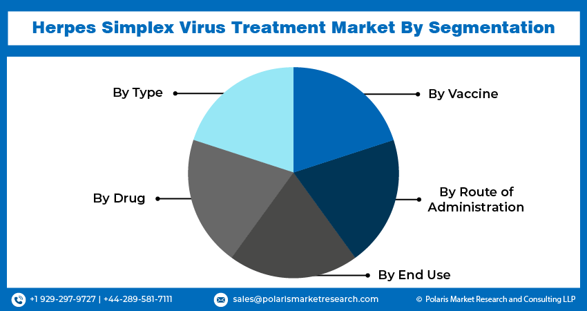Herpes Simplex Virus Treatment Market Seg